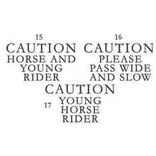 Load image into Gallery viewer, Young Rider Hi Vis Vest - Sky